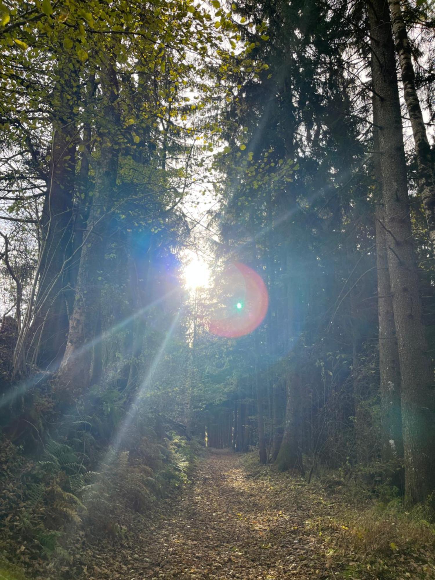 Fewo Loewenherz Seeboden Exterior foto