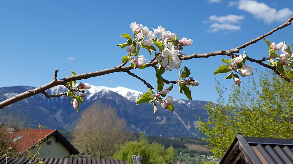 Fewo Loewenherz Seeboden Exterior foto